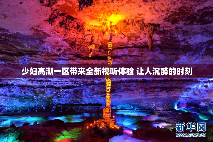 少妇高潮一区带来全新视听体验 让人沉醉的时刻