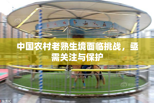 中国农村老熟生境面临挑战，亟需关注与保护