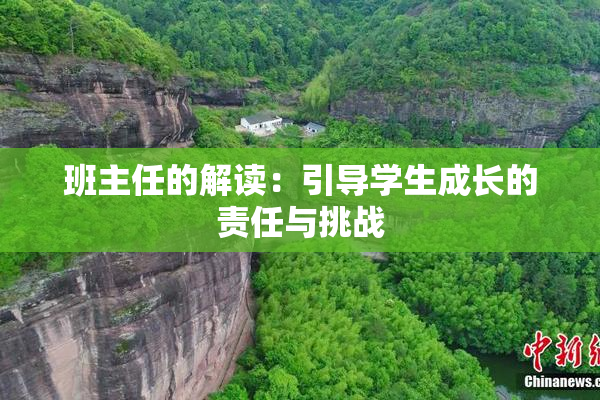 班主任的解读：引导学生成长的责任与挑战