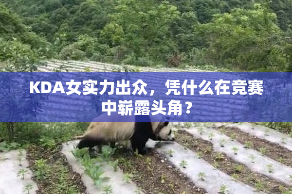 KDA女实力出众，凭什么在竞赛中崭露头角？