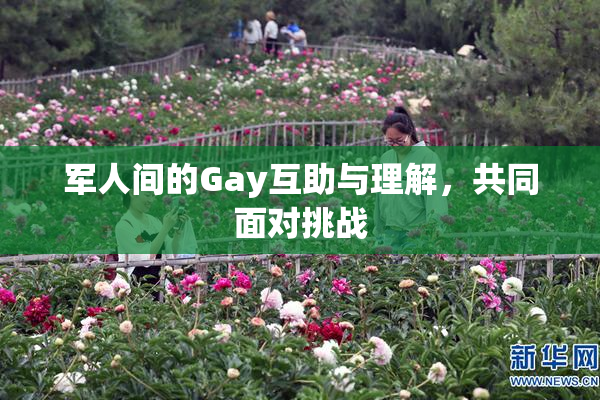 军人间的Gay互助与理解，共同面对挑战