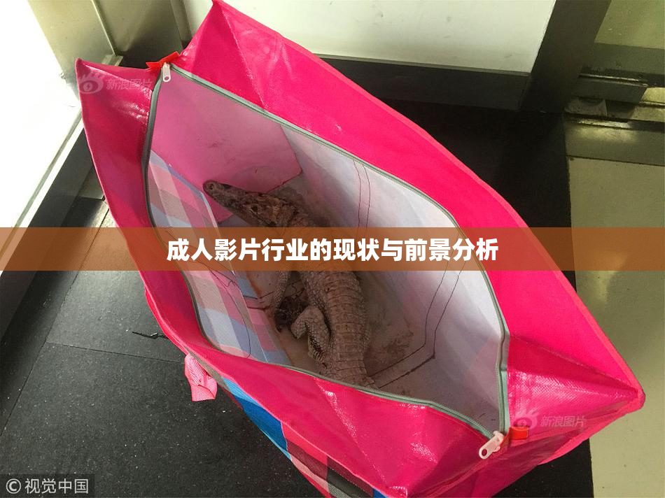 成人影片行业的现状与前景分析