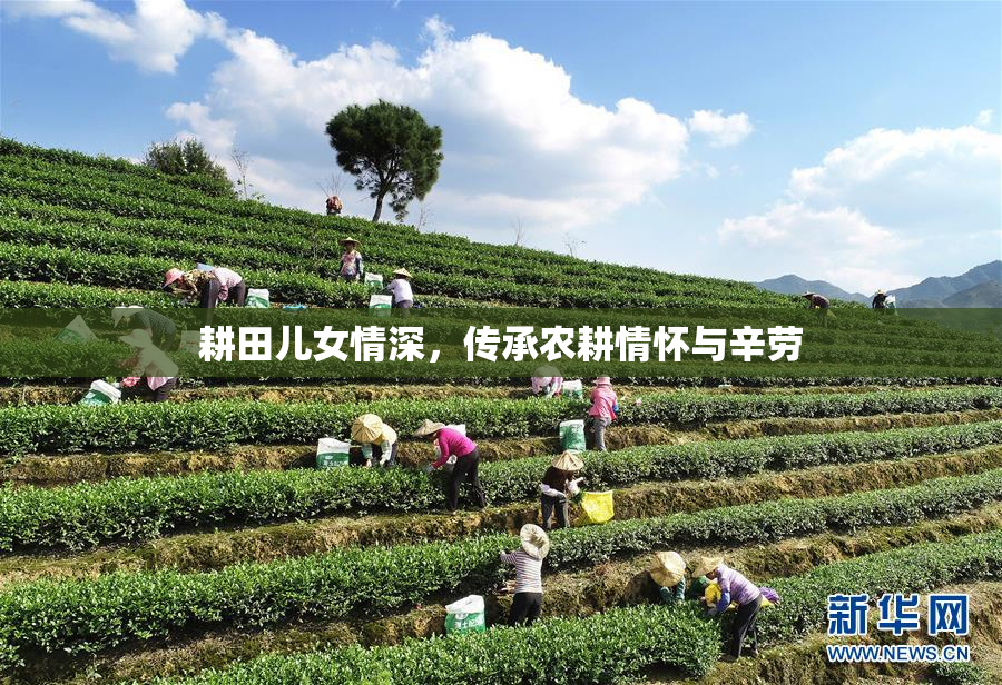耕田儿女情深，传承农耕情怀与辛劳