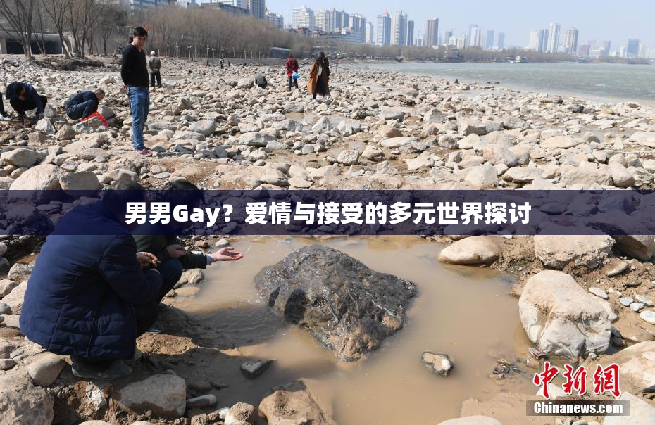 男男Gay？爱情与接受的多元世界探讨
