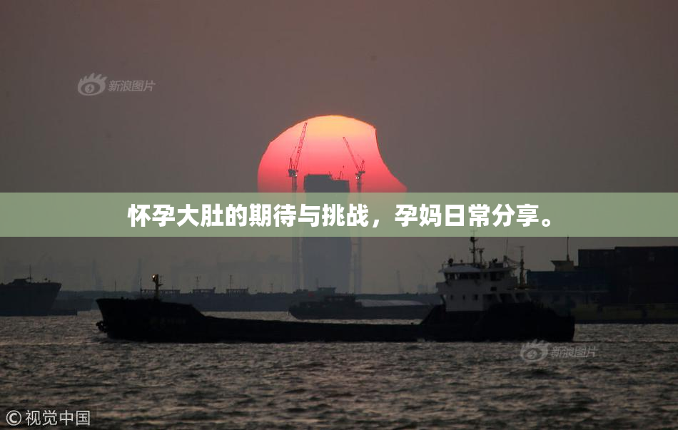 怀孕大肚的期待与挑战，孕妈日常分享。