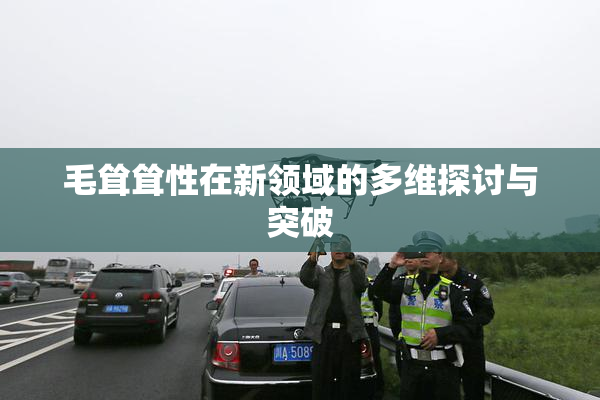 毛耸耸性在新领域的多维探讨与突破