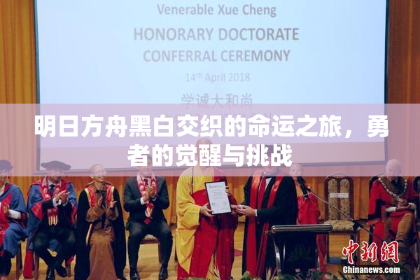 明日方舟黑白交织的命运之旅，勇者的觉醒与挑战