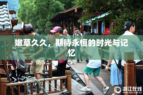 嫩草久久，期待永恒的时光与记忆