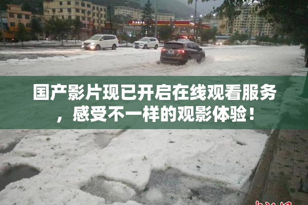 国产影片现已开启在线观看服务，感受不一样的观影体验！