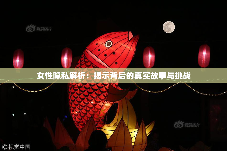 女性隐私解析：揭示背后的真实故事与挑战