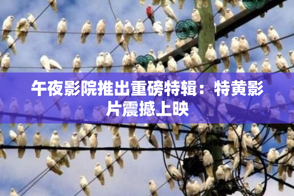 午夜影院推出重磅特辑：特黄影片震撼上映