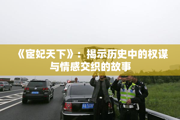 《宦妃天下》：揭示历史中的权谋与情感交织的故事