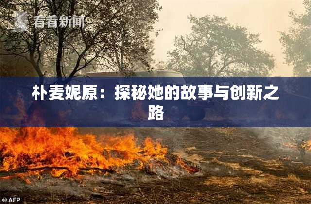 朴麦妮原：探秘她的故事与创新之路