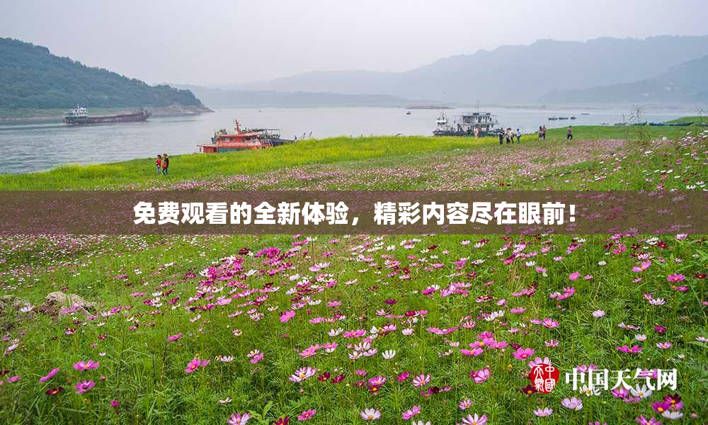 免费观看的全新体验，精彩内容尽在眼前！