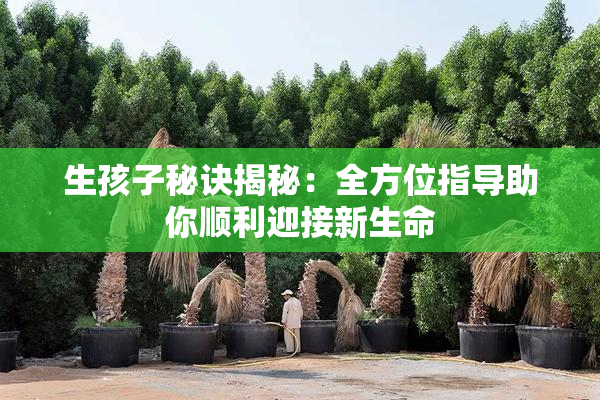生孩子秘诀揭秘：全方位指导助你顺利迎接新生命