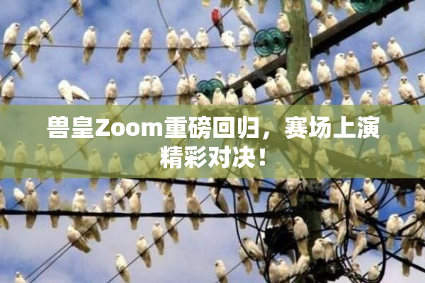 兽皇Zoom重磅回归，赛场上演精彩对决！