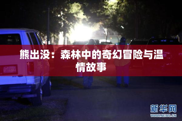 熊出没：森林中的奇幻冒险与温情故事