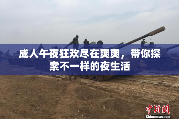 成人午夜狂欢尽在爽爽，带你探索不一样的夜生活