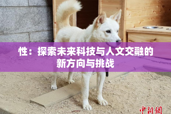 性：探索未来科技与人文交融的新方向与挑战