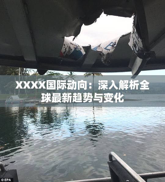 XXXX国际动向：深入解析全球最新趋势与变化