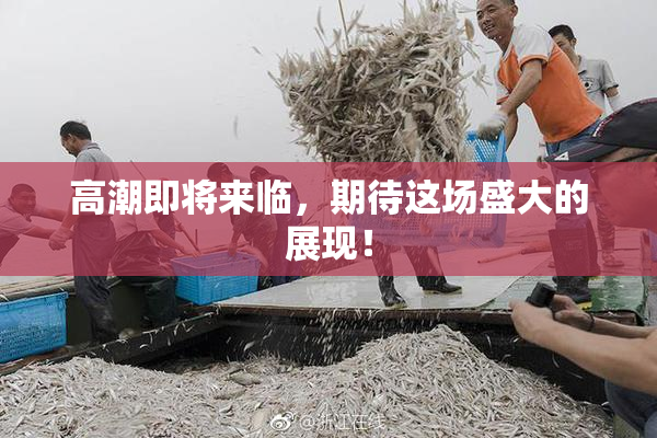 高潮即将来临，期待这场盛大的展现！