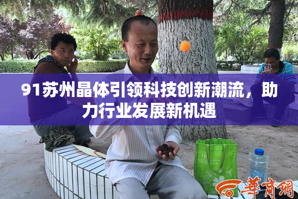 91苏州晶体引领科技创新潮流，助力行业发展新机遇