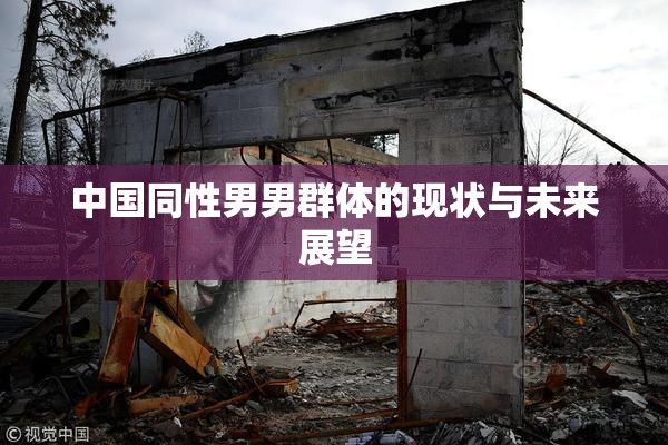 中国同性男男群体的现状与未来展望