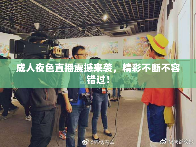 成人夜色直播震撼来袭，精彩不断不容错过！