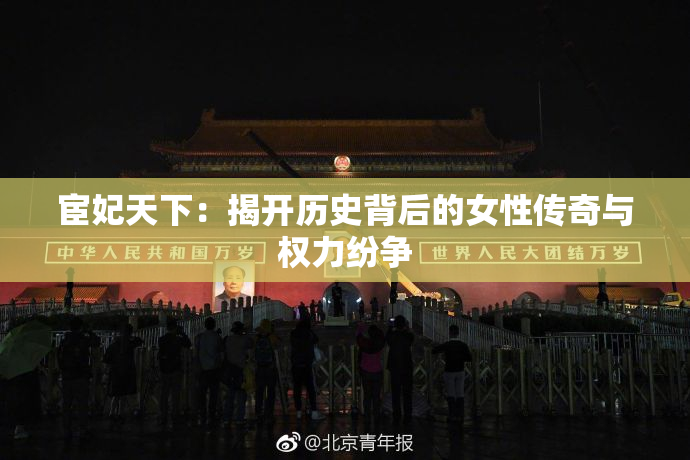 宦妃天下：揭开历史背后的女性传奇与权力纷争