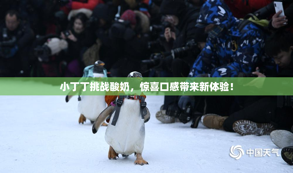 小丁丁挑战酸奶，惊喜口感带来新体验！