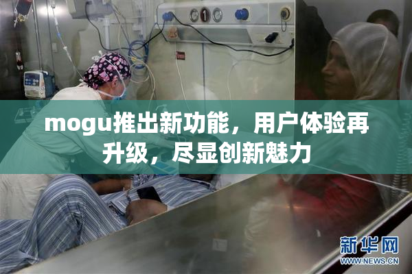 mogu推出新功能，用户体验再升级，尽显创新魅力
