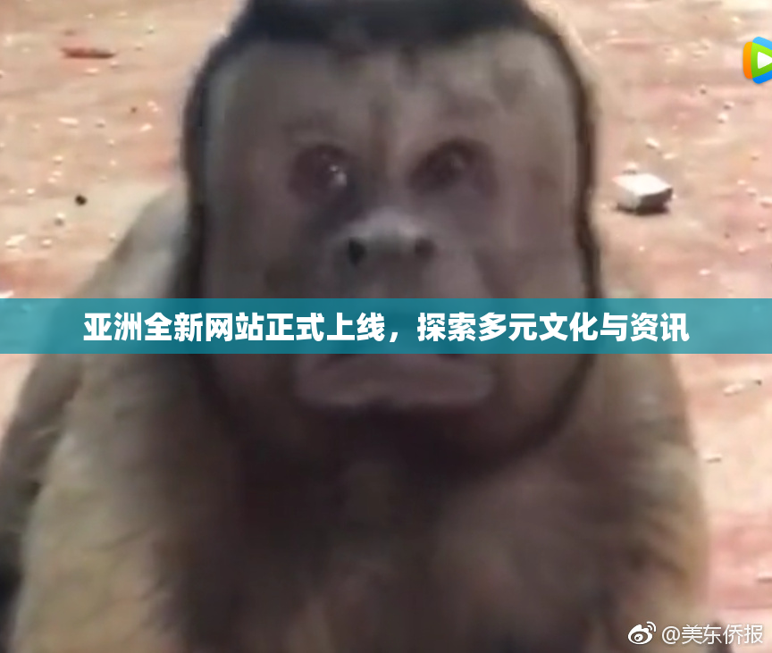 亚洲全新网站正式上线，探索多元文化与资讯