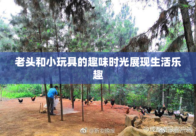 老头和小玩具的趣味时光展现生活乐趣