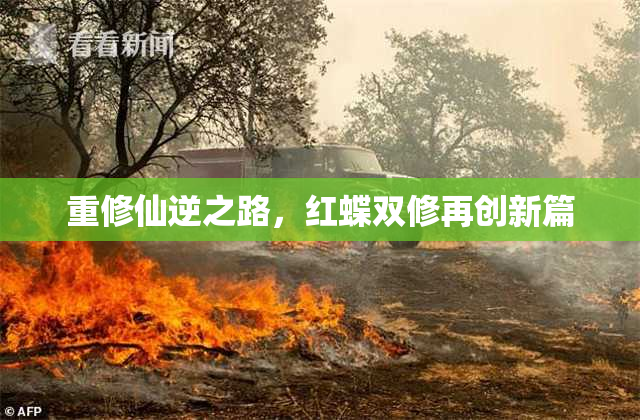 重修仙逆之路，红蝶双修再创新篇