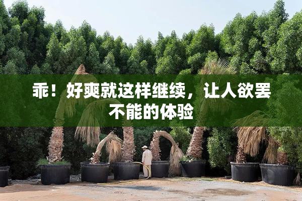 乖！好爽就这样继续，让人欲罢不能的体验
