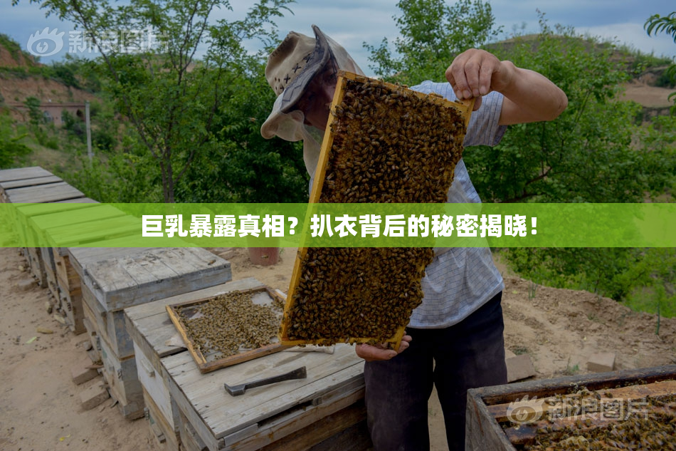 巨乳暴露真相？扒衣背后的秘密揭晓！