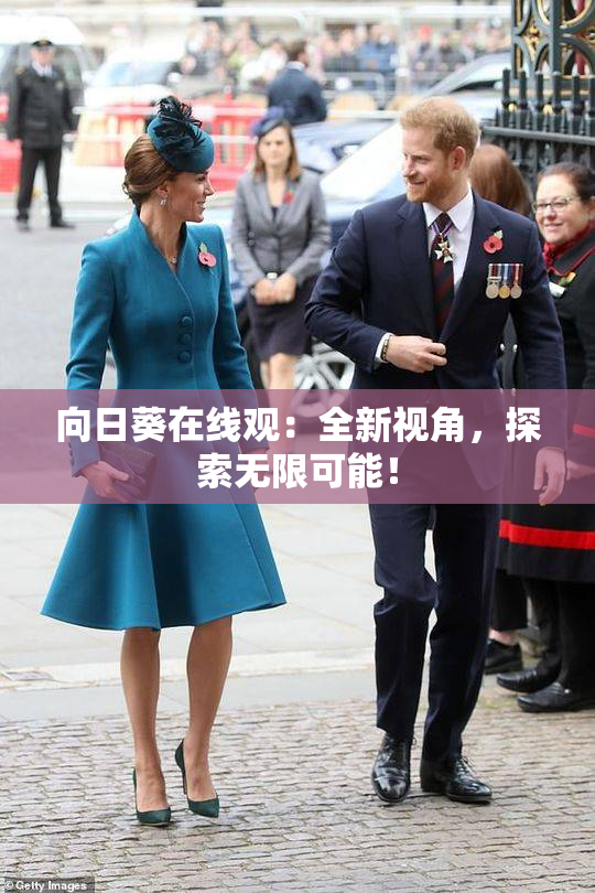 向日葵在线观：全新视角，探索无限可能！
