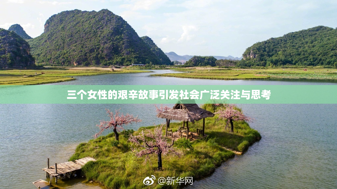 三个女性的艰辛故事引发社会广泛关注与思考