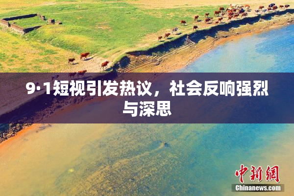 9·1短视引发热议，社会反响强烈与深思