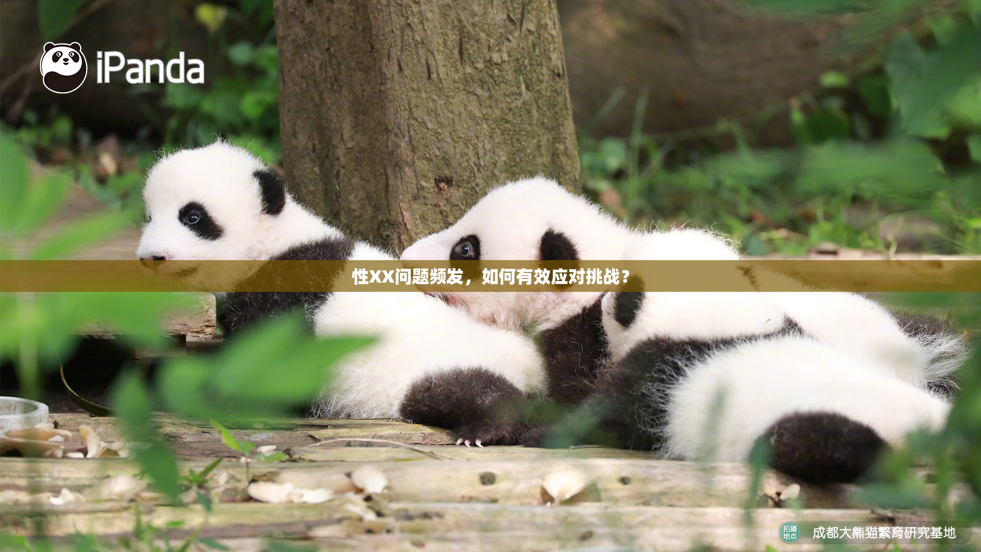 性XX问题频发，如何有效应对挑战？