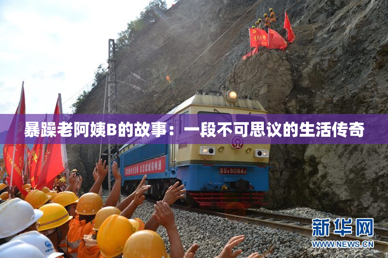 暴躁老阿姨B的故事：一段不可思议的生活传奇