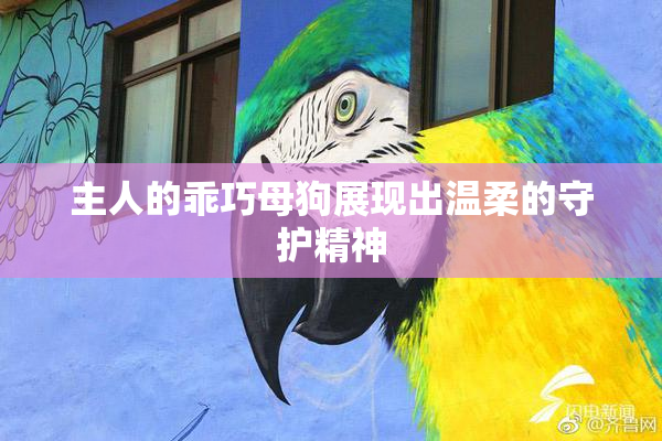 主人的乖巧母狗展现出温柔的守护精神