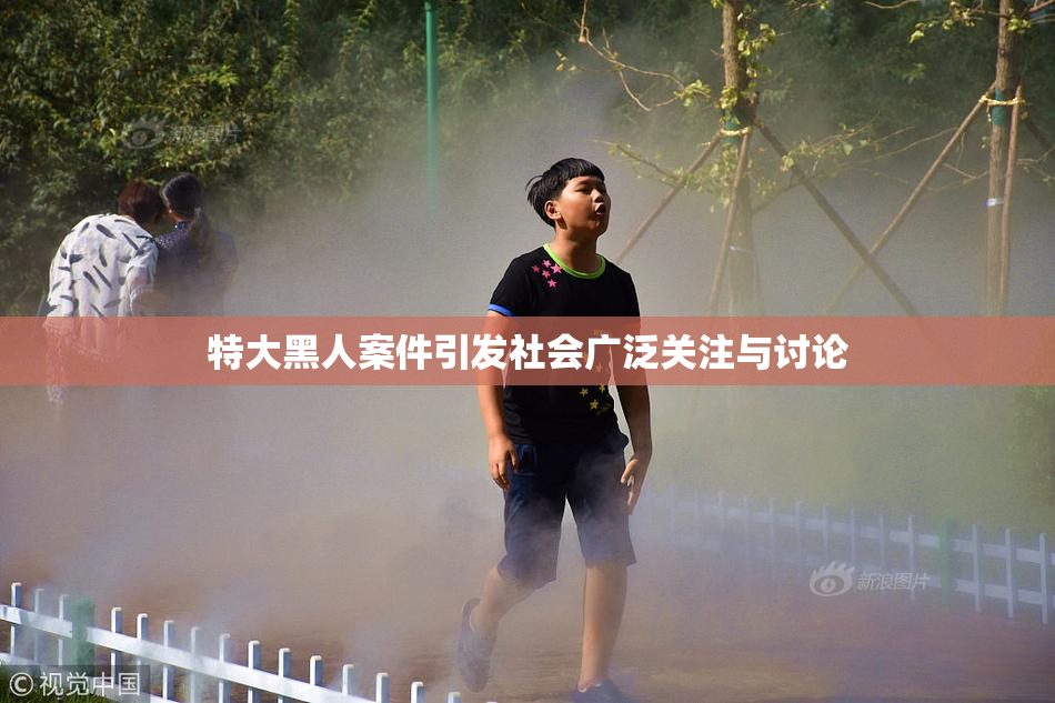 特大黑人案件引发社会广泛关注与讨论