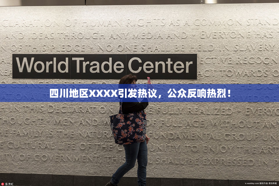 四川地区XXXX引发热议，公众反响热烈！