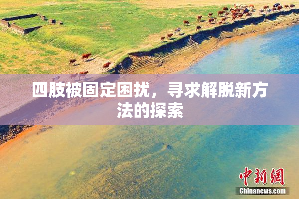 四肢被固定困扰，寻求解脱新方法的探索