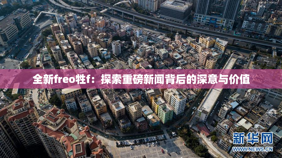 全新freo牲f：探索重磅新闻背后的深意与价值