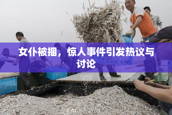 女仆被捆，惊人事件引发热议与讨论
