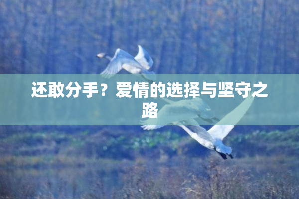 还敢分手？爱情的选择与坚守之路