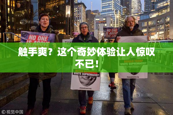 触手爽？这个奇妙体验让人惊叹不已！