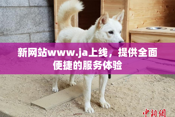 新网站www.ja上线，提供全面便捷的服务体验